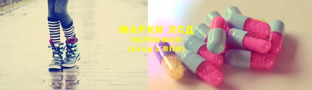 a pvp Новокубанск