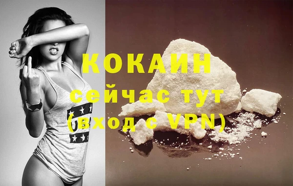 бошки Абаза