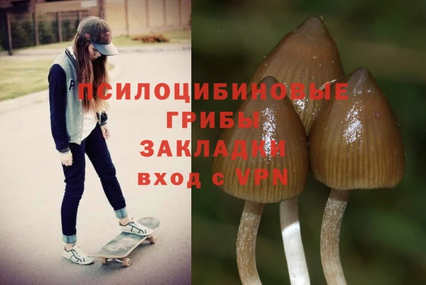 бошки Абаза