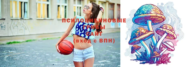 шишки Новозыбков