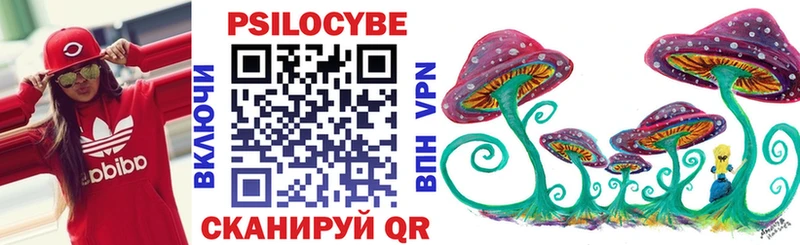 Псилоцибиновые грибы Psilocybe  как найти наркотики  mega зеркало  Торопец 